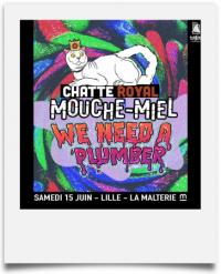 Chatte Royal